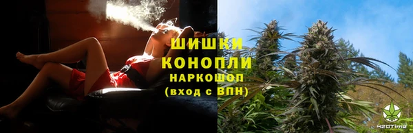 стаф Нея