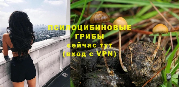 стаф Нея