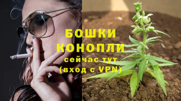 стаф Нея
