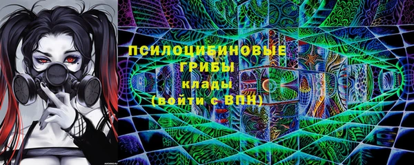 стаф Нея