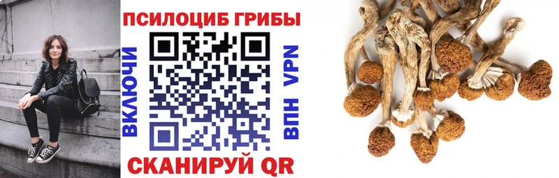KRAKEN tor  Старый Оскол  Галлюциногенные грибы Psilocybe 