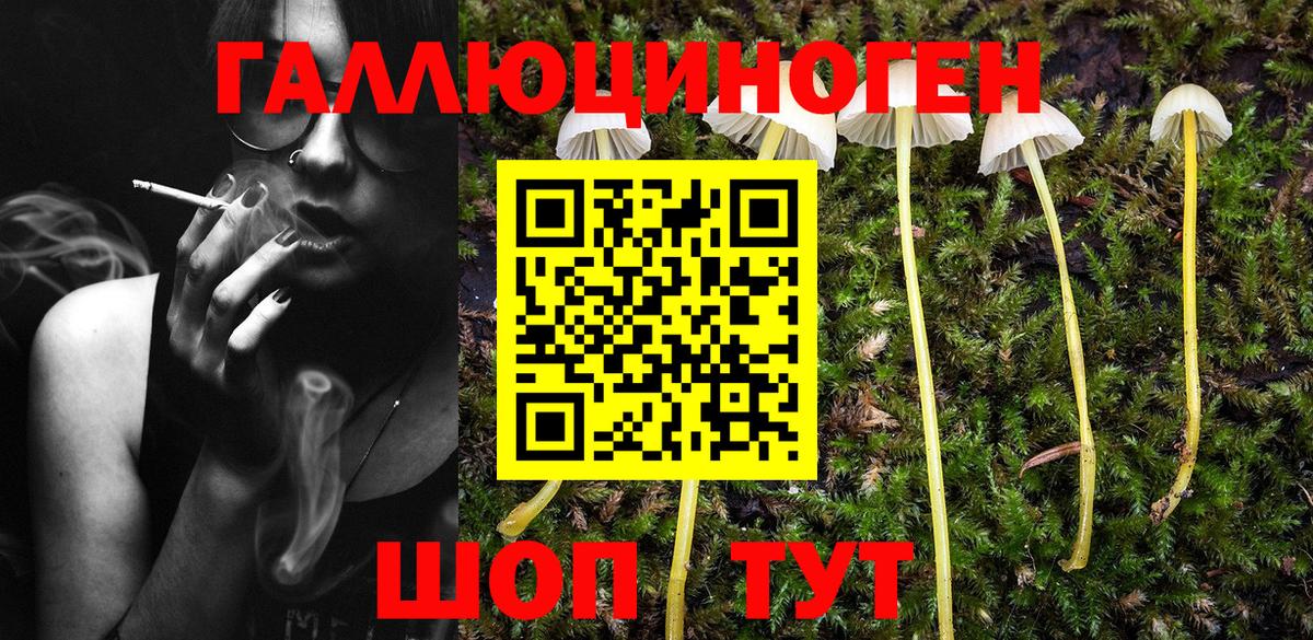 Мяу-Мяу  Хэш  Старый Оскол  MDMA  Вход с VPN  Кокаин  Бошки Шишки 