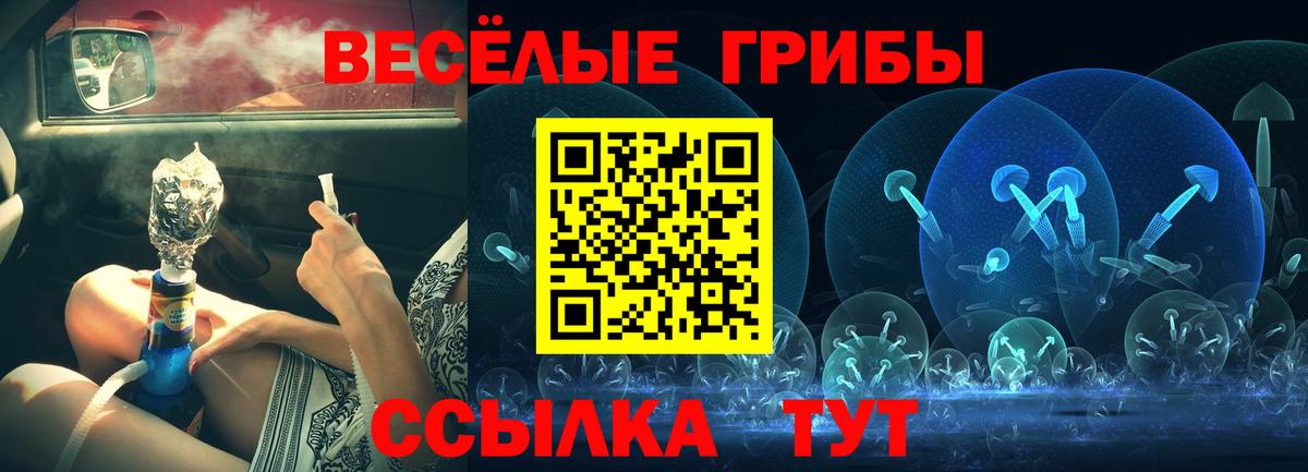 Псилоцибиновые грибы прущие грибы Старый Оскол