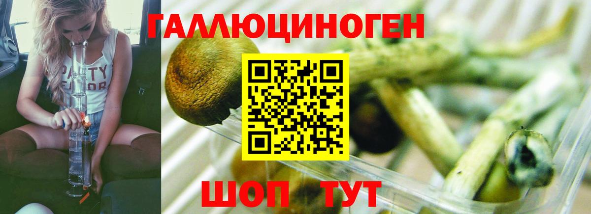 Псилоцибиновые грибы ЛСД  где продают   Старый Оскол  Вход с VPN  Псилоцибиновые грибы GOLDEN TEACHER 
